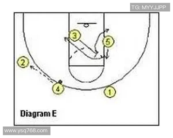 深圳排球队快攻战术解析与实战应用探讨