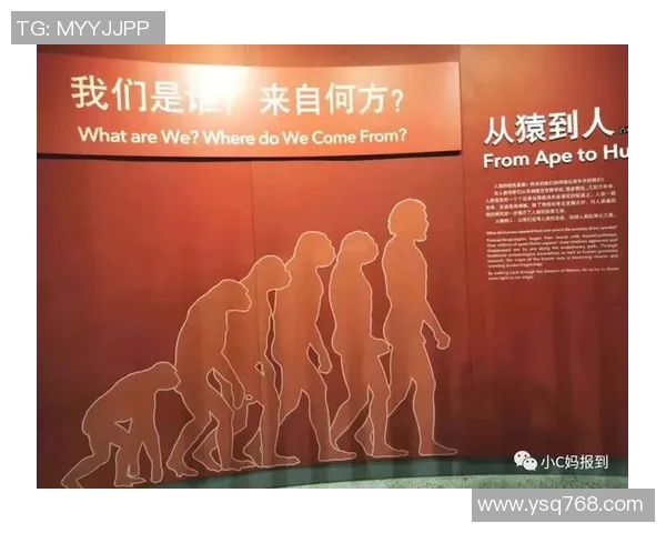 上海篮球队心理素质提升之道：从赛场到心灵的全面探讨