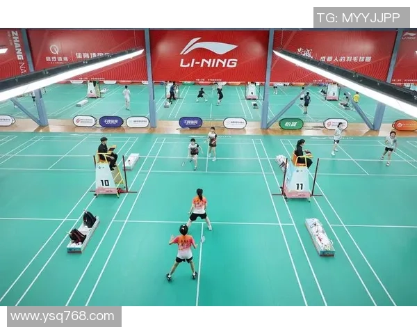 成都羽毛球队荣登全国羽毛球配合排行榜第十名展现实力与团队精神