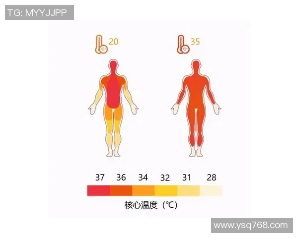 深圳篮球队速度对比分析：揭示球队战术与球员表现的深层关系