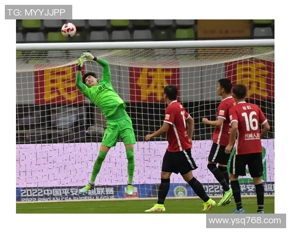 成都排球队灵活性探讨如何提升团队表现与竞技水平