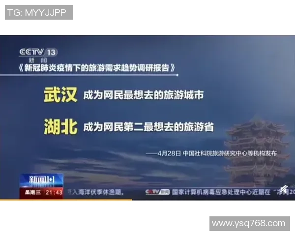 武汉飞盘队快攻战术分析与得失总结探讨