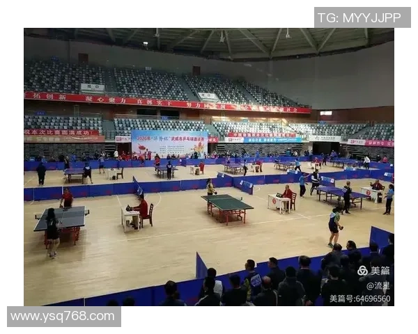 武汉乒乓球队的控制革新探索与实践全景分析