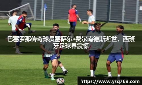 bsports登录入口