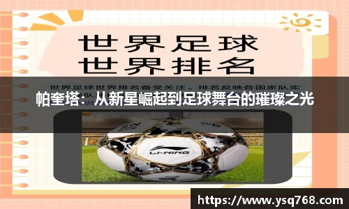 bsports官网入口