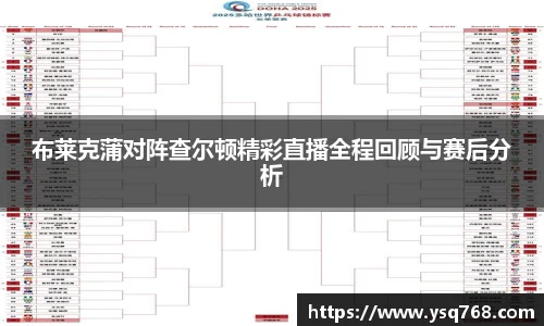 bsports登录入口