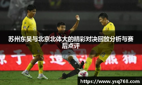 bsports登录入口