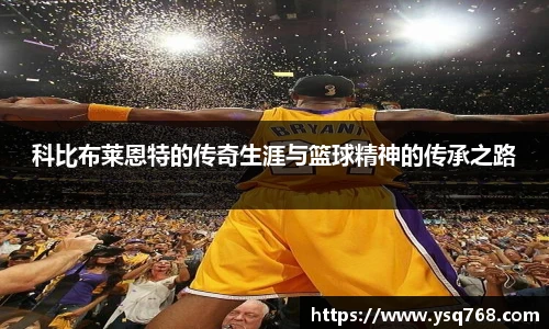 bsports登录入口