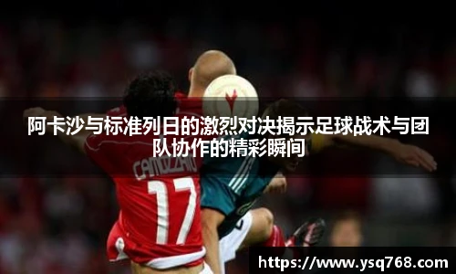 bsports官网入口