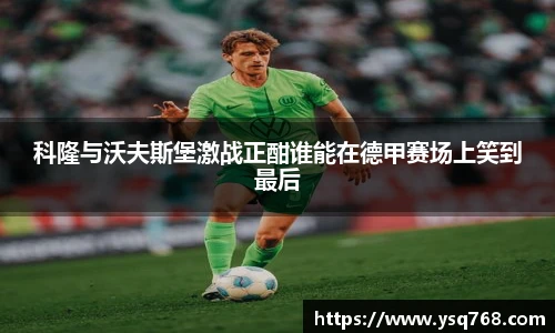 bsports登录入口