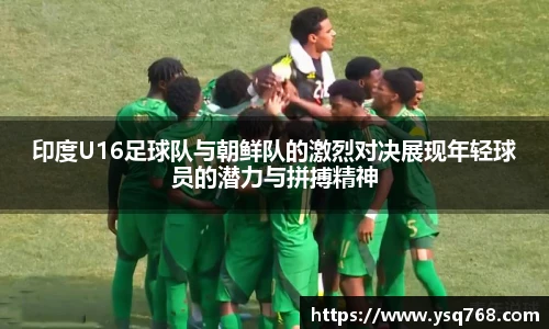 bsports官网入口