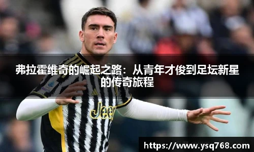bsports官网入口