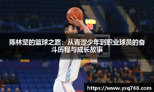 bsports登录入口